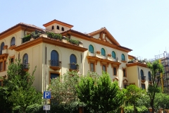 DSC08506