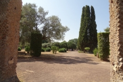 Dsc08312