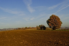 Dsc03480