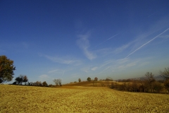 Dsc03486