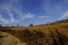 Dsc03514