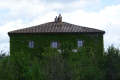 Dsc01398