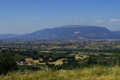 Dsc02709