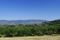 Dsc02711