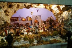 Dsc02894