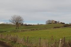 Dsc01244