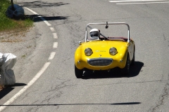 Austin Healey "Frog Eye" (occhi di rana)