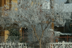 Immagine_ 003