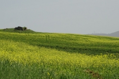 Dsc01088