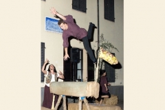 gli-acrobati-26