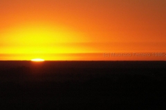 Argentina 2011