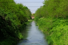 Dsc08674
