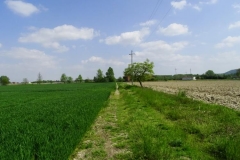 Dsc08695