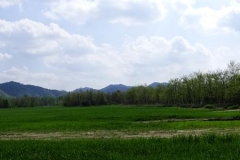 Dsc08714