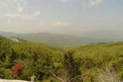 Dsc08107