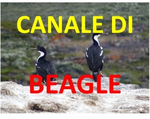 Canale di Beagle