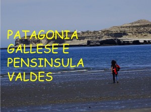 Patagonia VAldese e Pensinsula Valdes
