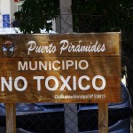 no toxico