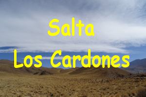 Salta