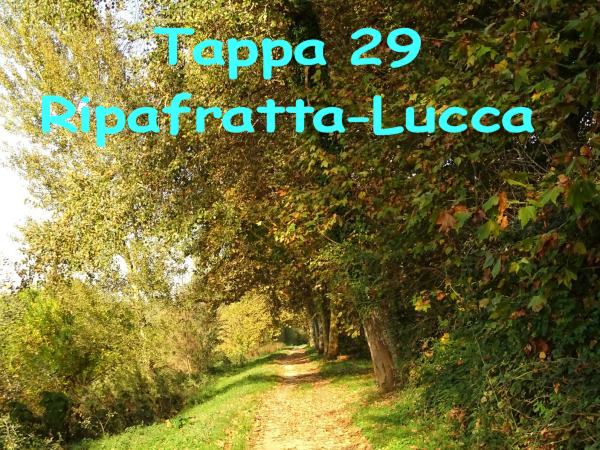 Tappa 29