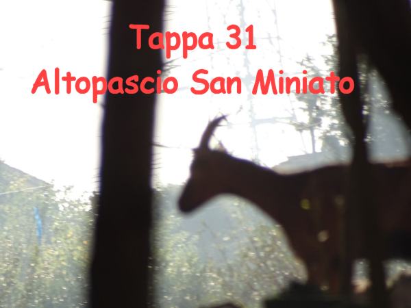 Tappa 31