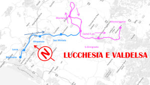 Lucchesia.jpg