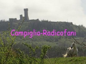 Sampiglia-Radicofani