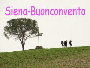 Siena-Buonconvento