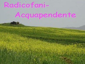 Radicofani-Acquapendente