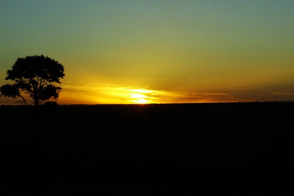 Dsc03766 3_2