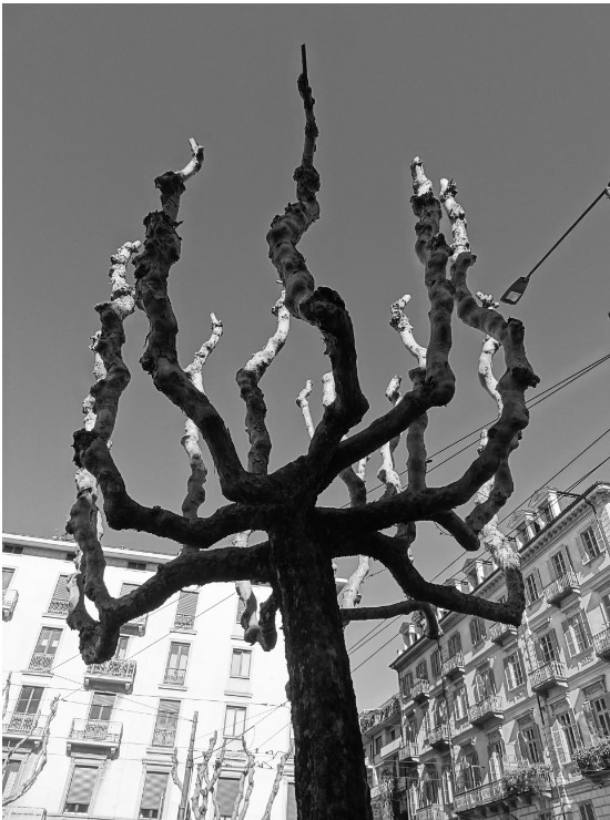 Immagine 2026-05-06 114605